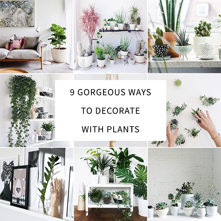9 Gorgeous Ways to Decorate With Plants - Melyssa Griffin