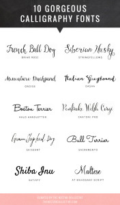 Gorgeous Calligraphy Fonts