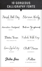 Gorgeous Calligraphy Fonts
