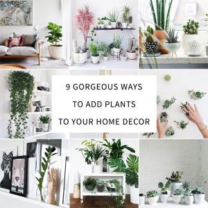 9 Gorgeous Ways to Add Plants to Your Home Decor