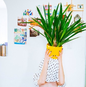 Currently Inspired by Jimmy Marble's Photography