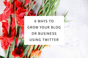 6 Ways to Grow Your Blog or Business Using Twitter