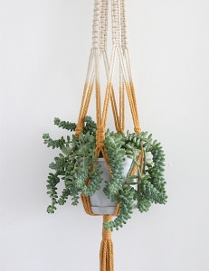 9 Gorgeous Ways to Decorate With Plants