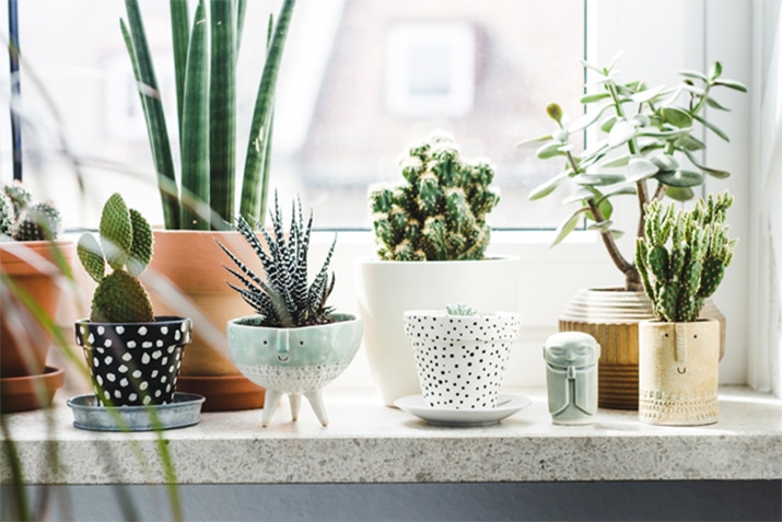 9 Geous Ways To Decorate With Plants Melyssa Griffin - Small Plants Home Decor