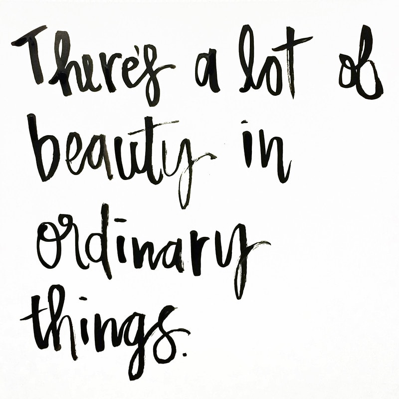 beauty-in-ordinary