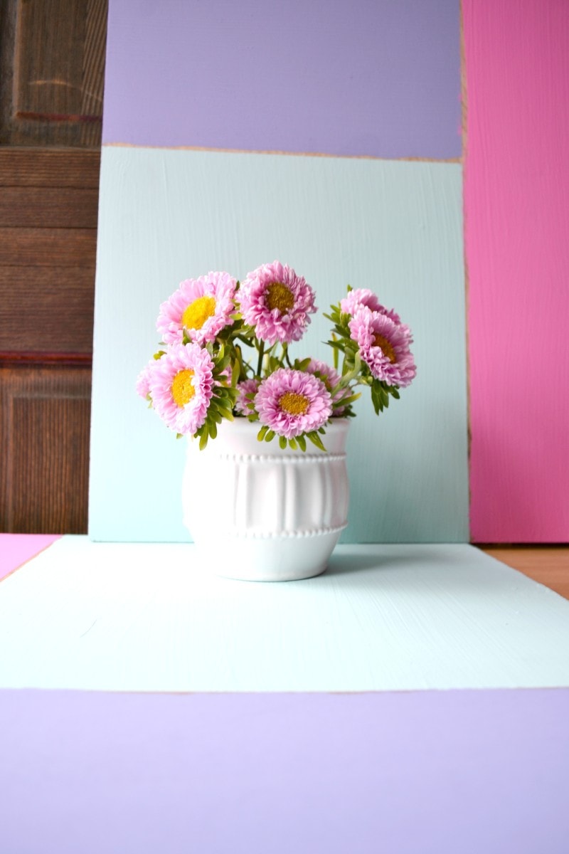 Flowers on painted background blog photography