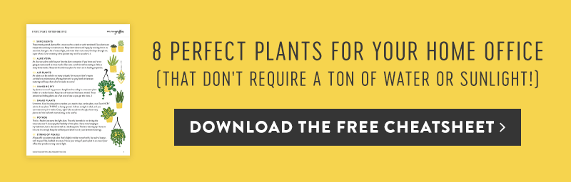8 Perfect Plants for your Home Office Freebie